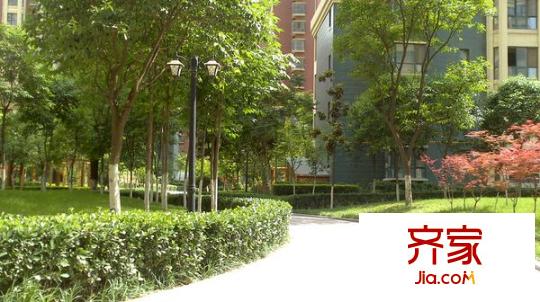 香克林小鎮(zhèn)外景圖 