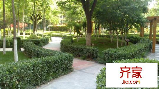 香克林小鎮(zhèn)外景圖 
