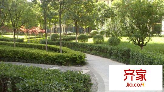 香克林小鎮(zhèn)外景圖 