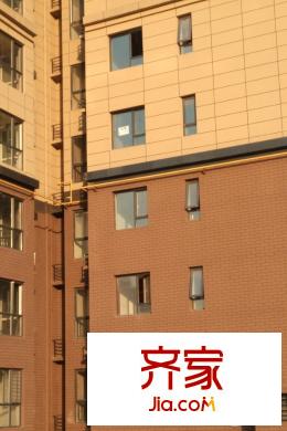 高新第五季4號(hào)樓施工進(jìn)度（2015-11-26）