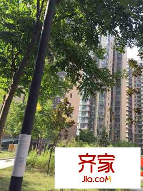 萬家燈火外景圖 