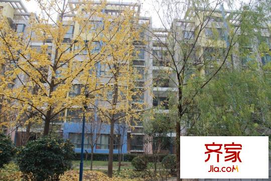 新西藍一期外景圖西安  