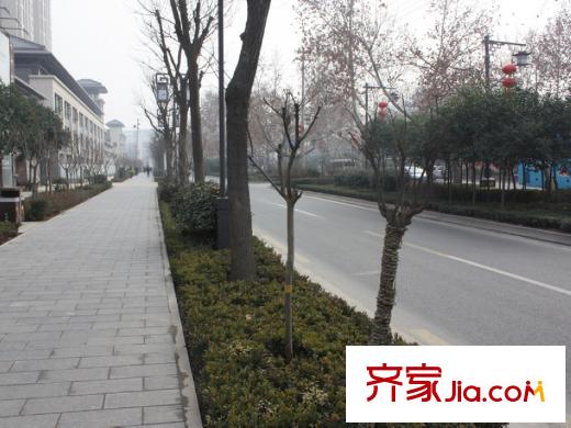 華府御城配套圖綠化