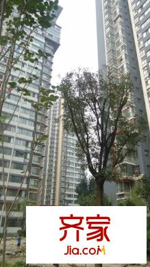 新興駿景園二期外景圖 