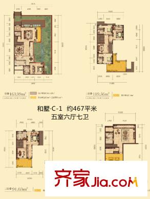 曲江公館和園別墅C戶型 5室6廳7衛(wèi)1廚