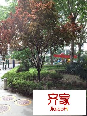 新興港灣外景圖 