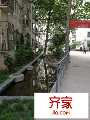 新興港灣外景圖 