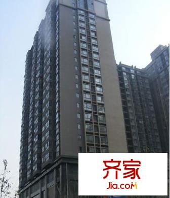 丹楓國(guó)際外景圖 