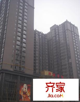 丹楓國(guó)際外景圖  