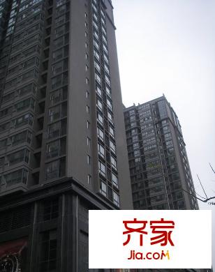 丹楓國(guó)際