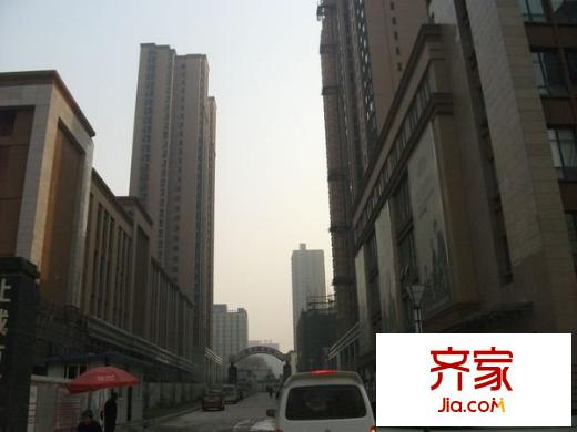 常春藤花園