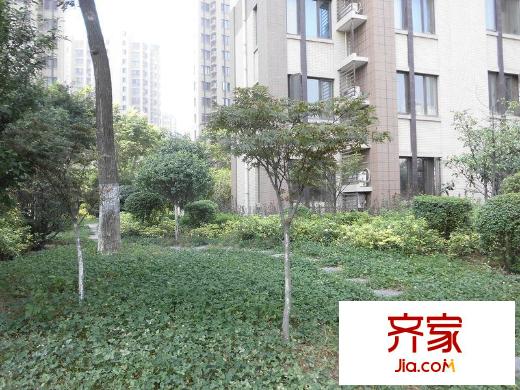 公園天下外景圖 