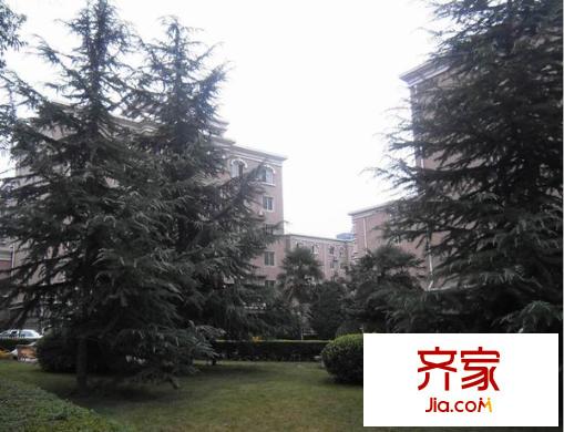 鑫泰園小區(qū)外景圖 