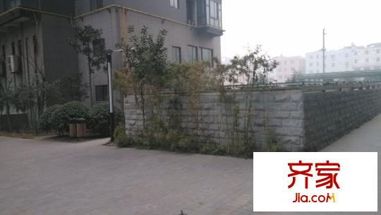 榕青無界外景圖 