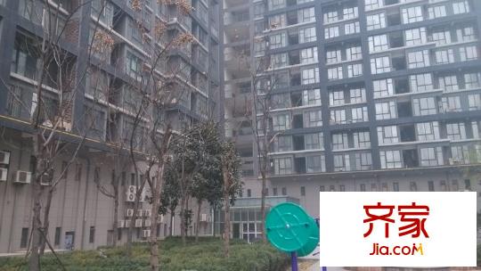 榕青無界外景圖 