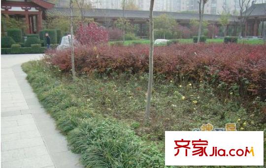 公園天下配套圖附近豐慶公園