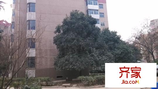 唐園小區(qū)外景圖 