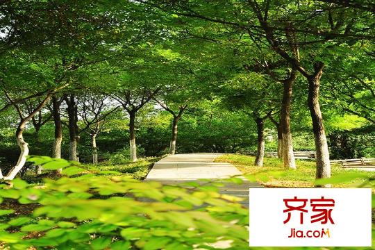 廣廈水岸東方