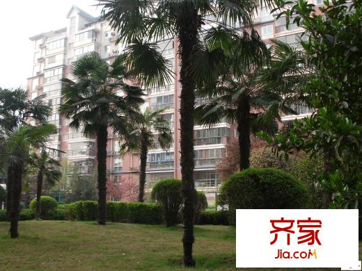 高科新花園