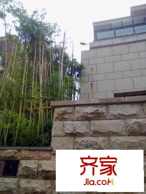 金地芙蓉世家外景圖 