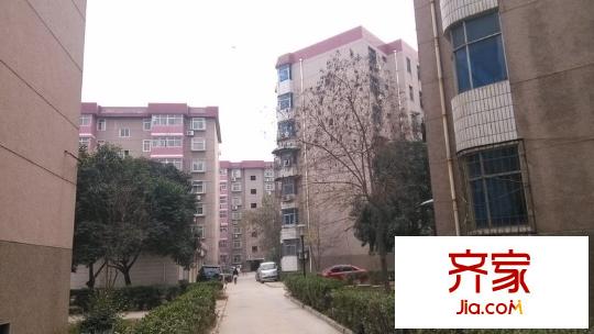 唐園小區(qū)外景圖 