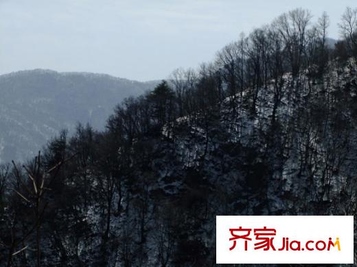 群賢別業(yè)周邊祥峪森林公園