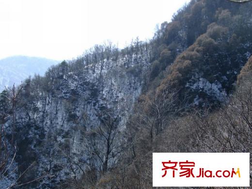群賢別業(yè)周邊祥峪森林公園