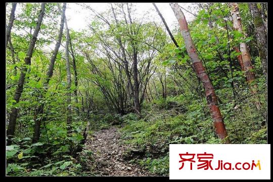 群賢別業(yè)周邊祥裕森林公園