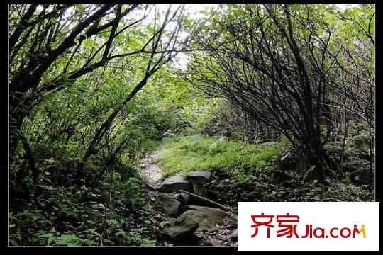 群賢別業(yè)周邊祥裕森林公園
