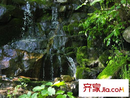 達觀天下周邊森林公園