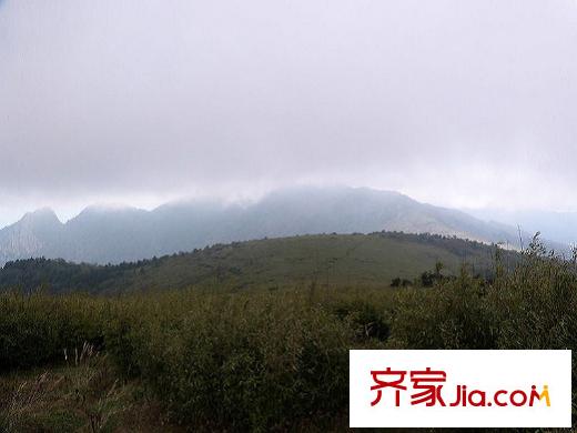 達觀天下周邊森林公園
