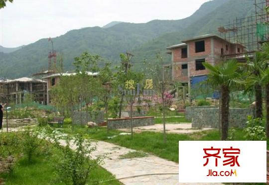 提香溪谷實景圖片