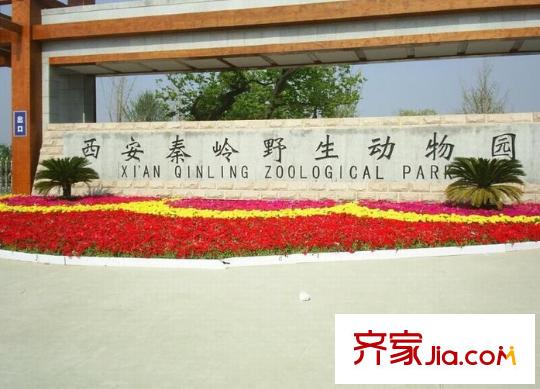 提香溪谷配套圖周邊秦嶺野生動(dòng)物園