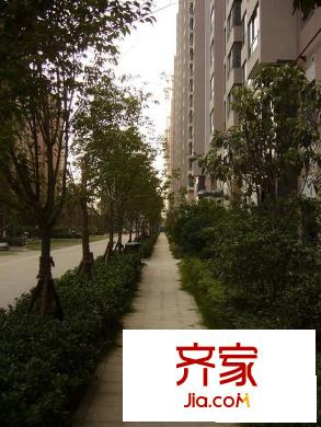夏日景色外景圖 
