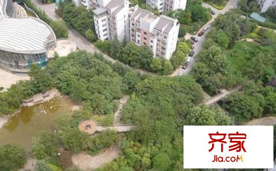 天地源楓林綠洲外景圖 