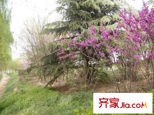 綠地國際生態(tài)城配套圖周邊雁鳴湖