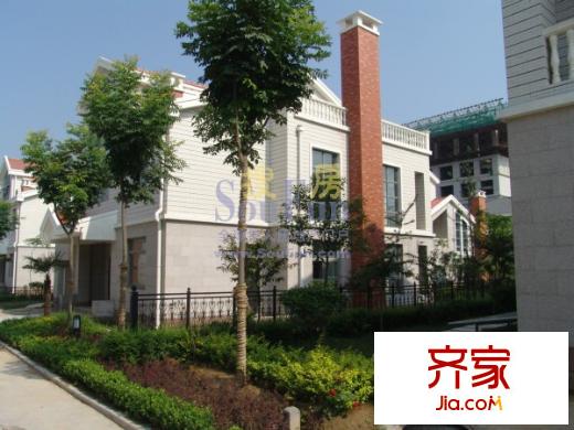 曲江佳園別墅實景圖片