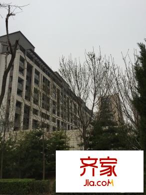 金地湖城大境（2015.3.27）