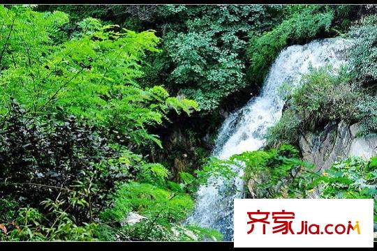 群賢別業(yè)周邊祥裕森林公園