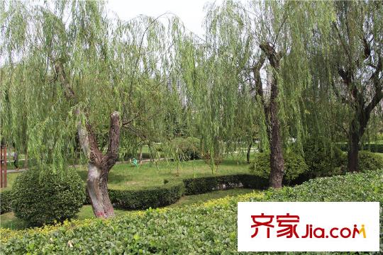 瀾香山周邊配套-櫻花廣場