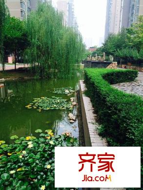 綠地世紀(jì)城外景圖 