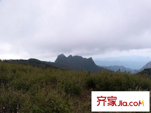 達(dá)觀天下周邊森林公園