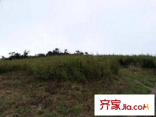 達(dá)觀天下周邊森林公園