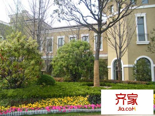 綠地國際生態(tài)城實景圖社區(qū)園林