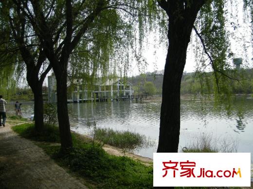 綠地國際生態(tài)城配套圖周邊雁鳴湖
