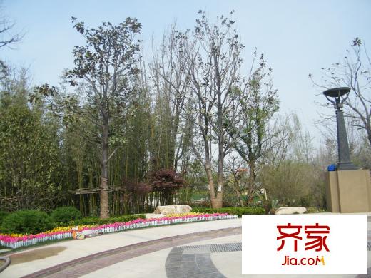 綠地國際生態(tài)城實景圖社區(qū)園林