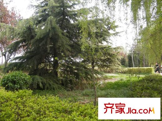 綠地國際生態(tài)城配套圖周邊雁鳴湖