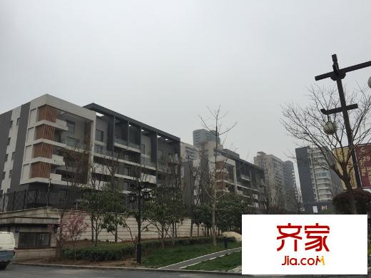 金地湖城大境（2015.3.27）