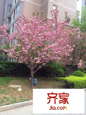 綠地世紀(jì)城