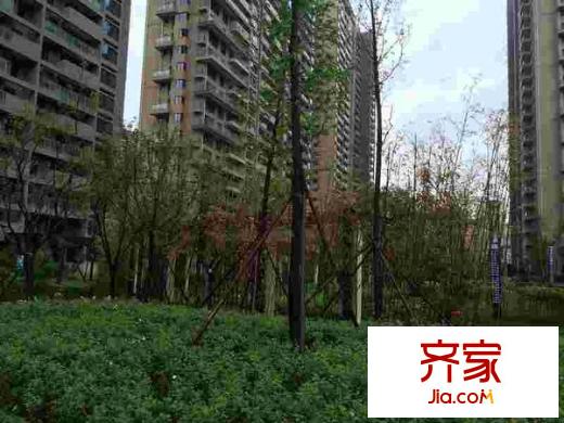 金地湖城大境別墅外景圖 